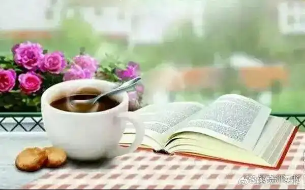 2cf5e0fe9925bc31c388cde8c633e7bec91370e1.JPG