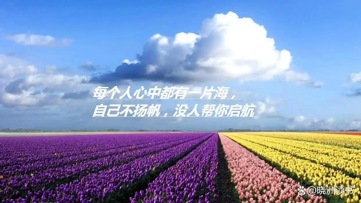 e7cd7b899e510fb3aaf90888bde35b9ad0430c28.jpg