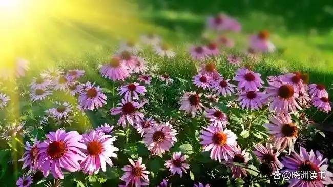 574e9258d109b3de46a4eddefc2c0c8e810a4c8b.jpg