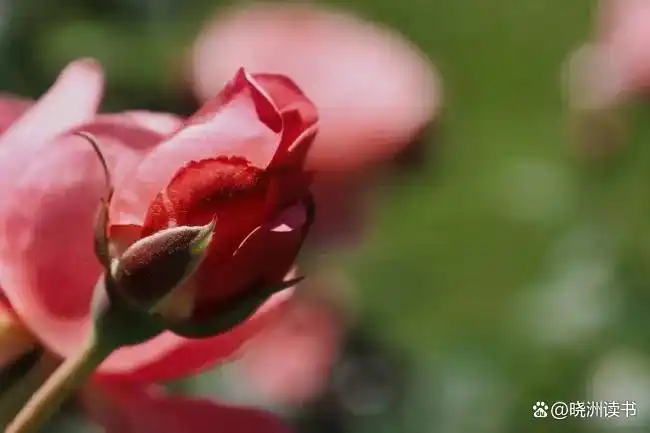 b7fd5266d01609246a034e6188e6ddf4e7cd3492.jpg