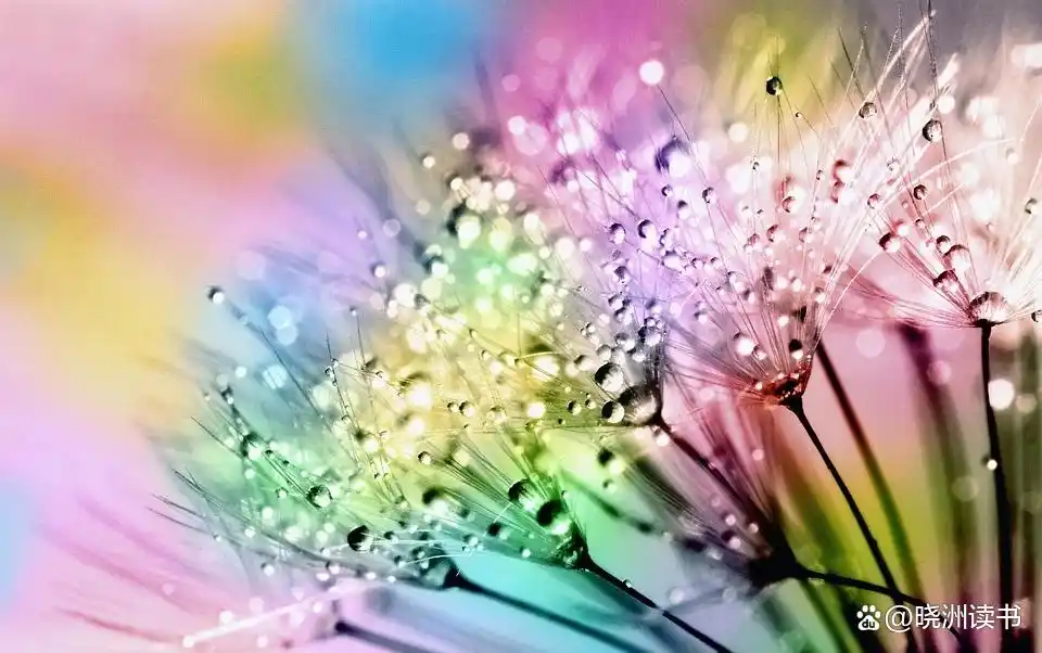1e30e924b899a90178ea2853fa6db6750008f5fb.jpg