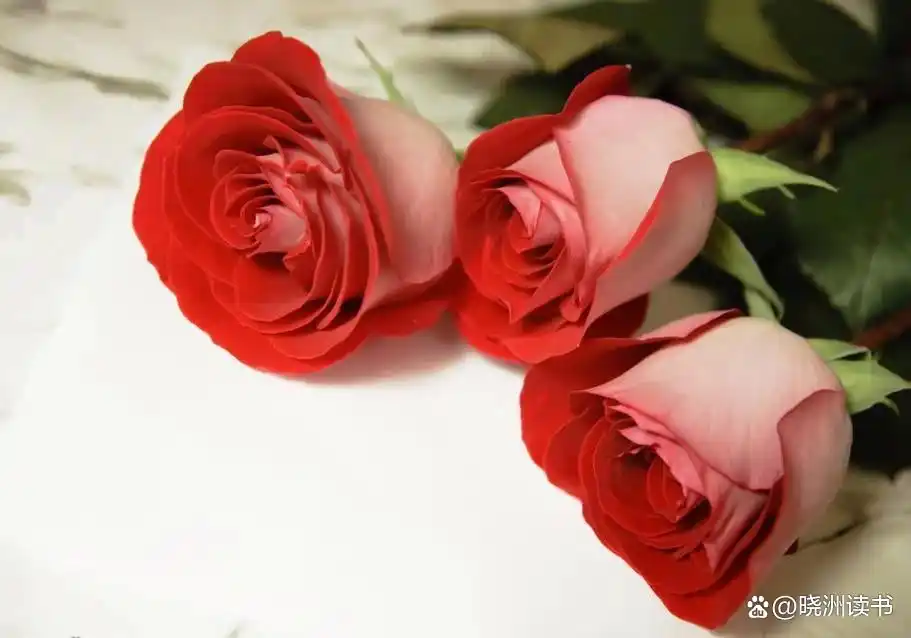 a686c9177f3e670961ac23832f703133f9dc5567.jpg